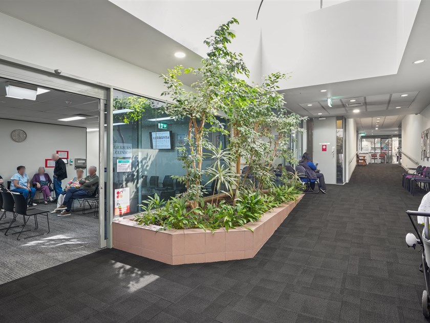 Unit 9/195 Whitehorse Road, Blackburn VIC 3130